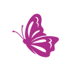weinroter-Schmetterling Icon weinroter-Schmetterling Icon