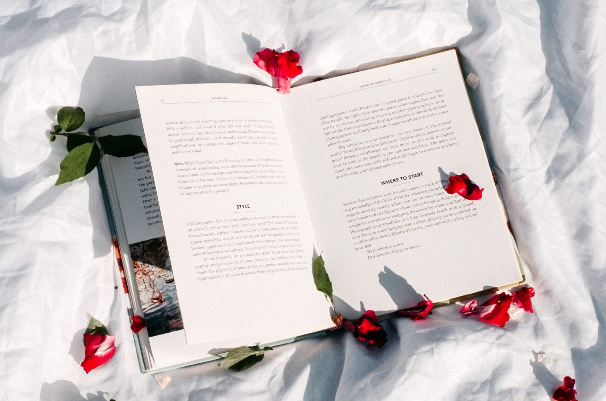 Buch-blüten-pexels-lisa-fotios-4178791 Buch-blüten-pexels-lisa-fotios-4178791